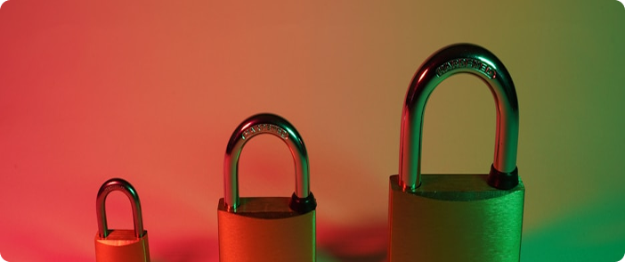 Security risks image